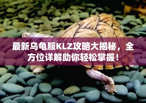 最新乌龟服KLZ攻略大揭秘，全方位详解助你轻松掌握！