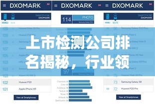 上市检测公司排名揭秘，行业领军者的实力与力量展示