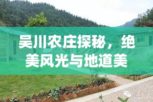 吴川农庄探秘，绝美风光与地道美食的双重诱惑攻略