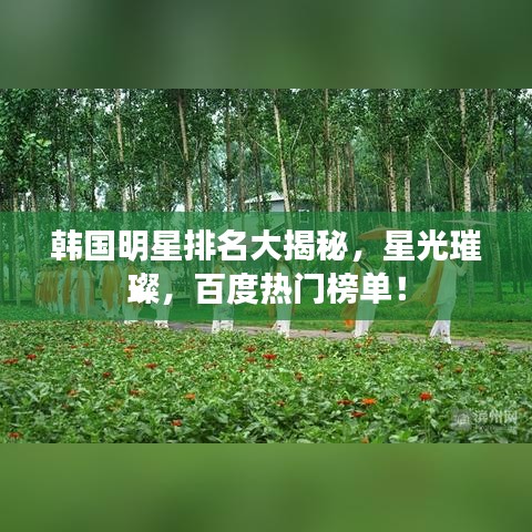 韩国明星排名大揭秘，星光璀璨，百度热门榜单！