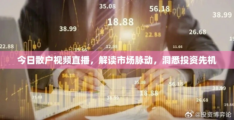 今日散户视频直播，解读市场脉动，洞悉投资先机