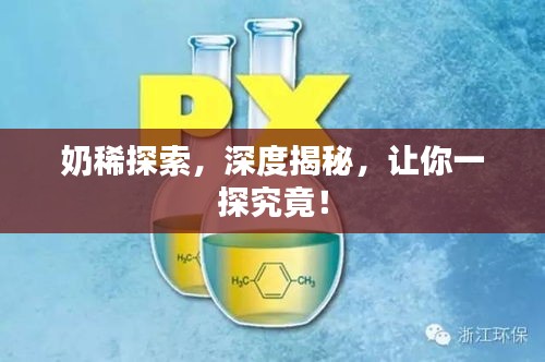 奶稀探索，深度揭秘，让你一探究竟！