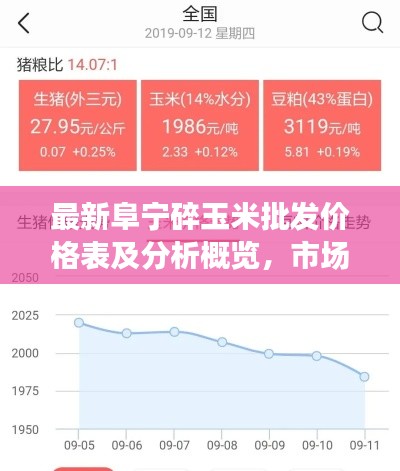 最新阜宁碎玉米批发价格表及分析概览，市场动态一目了然