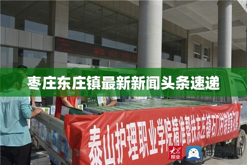 枣庄东庄镇最新新闻头条速递