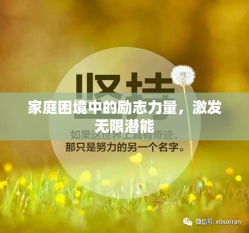 家庭困境中的励志力量，激发无限潜能