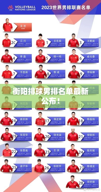 衡阳排球男排名单最新公布！