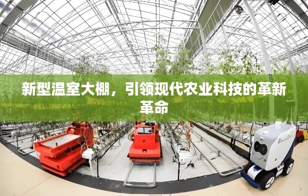 新型温室大棚，引领现代农业科技的革新革命