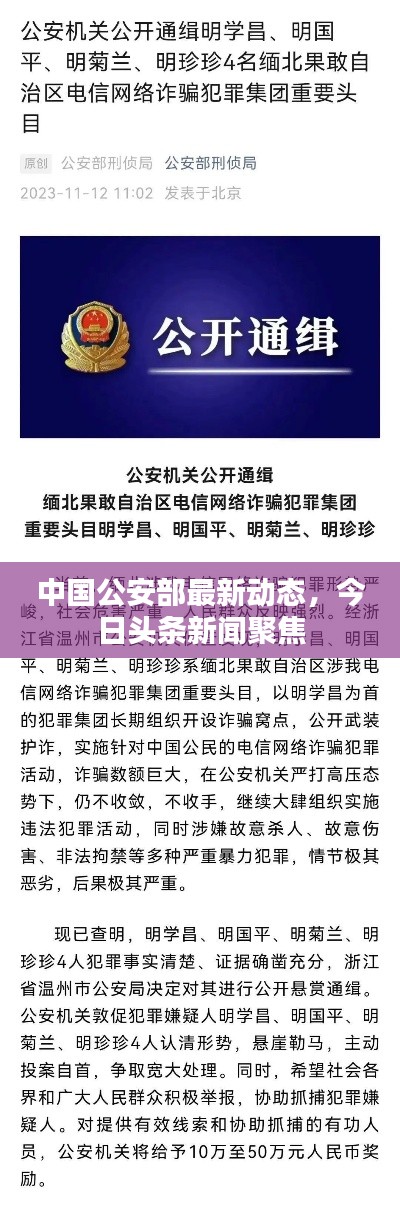 中国公安部最新动态，今日头条新闻聚焦