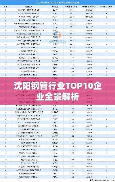 沈阳钢管行业TOP10企业全景解析