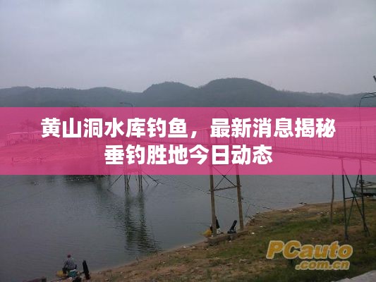 黄山洞水库钓鱼，最新消息揭秘垂钓胜地今日动态