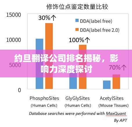 约旦翻译公司排名揭秘，影响力深度探讨