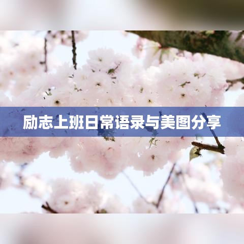 励志上班日常语录与美图分享