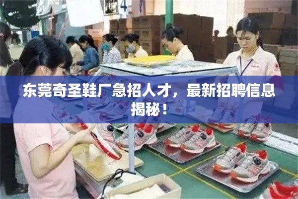 东莞奇圣鞋厂急招人才，最新招聘信息揭秘！