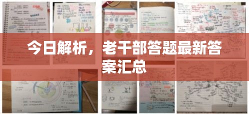 今日解析，老干部答题最新答案汇总