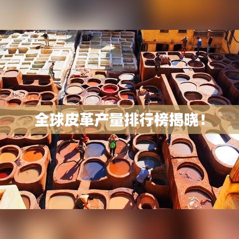 全球皮革产量排行榜揭晓！