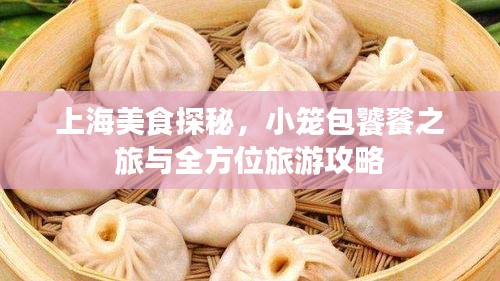 上海美食探秘，小笼包饕餮之旅与全方位旅游攻略