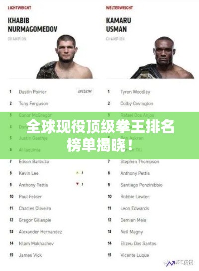 全球现役顶级拳王排名榜单揭晓！