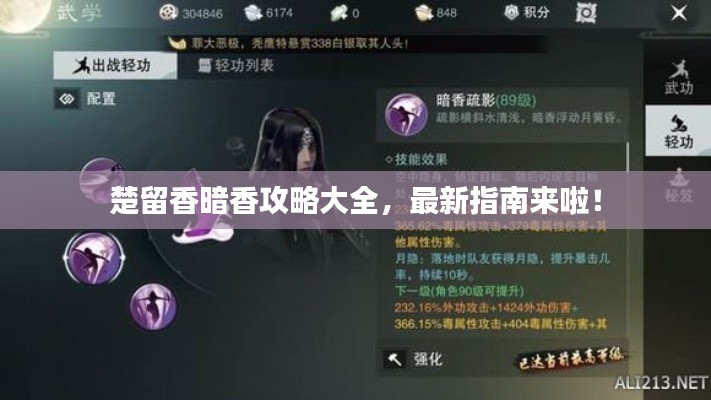 楚留香暗香攻略大全，最新指南来啦！
