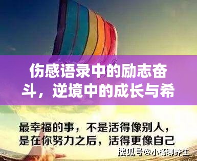 伤感语录中的励志奋斗，逆境中的成长与希望的力量