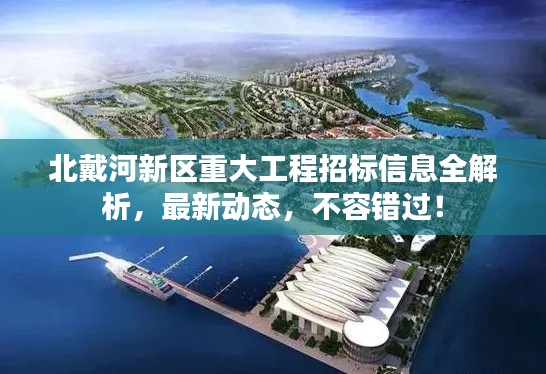 北戴河新区重大工程招标信息全解析，最新动态，不容错过！