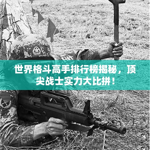 世界格斗高手排行榜揭秘，顶尖战士实力大比拼！