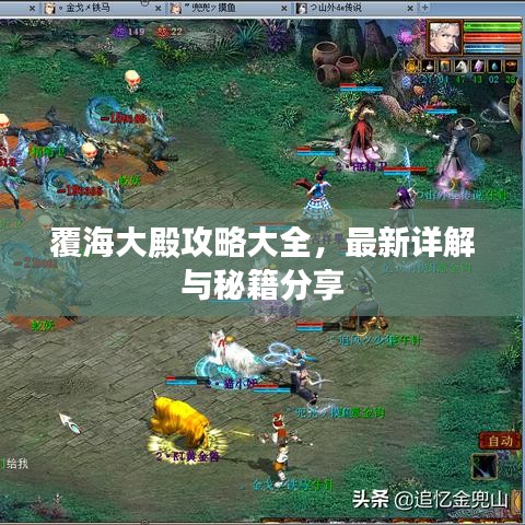 覆海大殿攻略大全，最新详解与秘籍分享