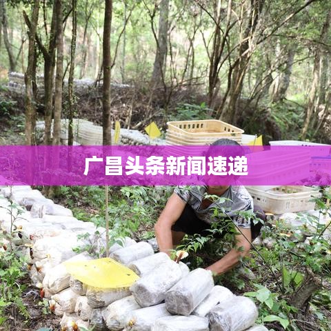 广昌头条新闻速递
