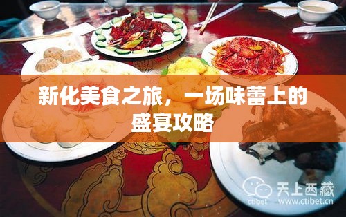 新化美食之旅，一场味蕾上的盛宴攻略