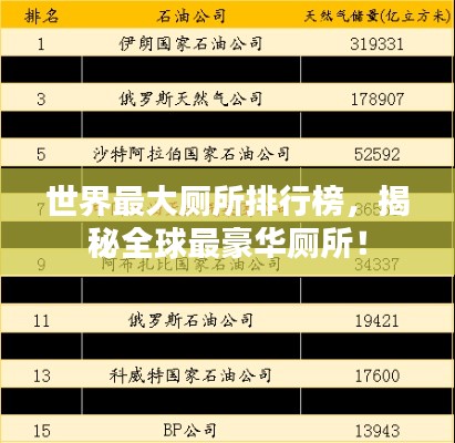 世界最大厕所排行榜，揭秘全球最豪华厕所！