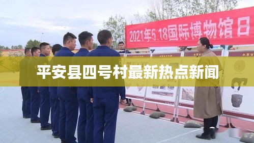 平安县四号村最新热点新闻