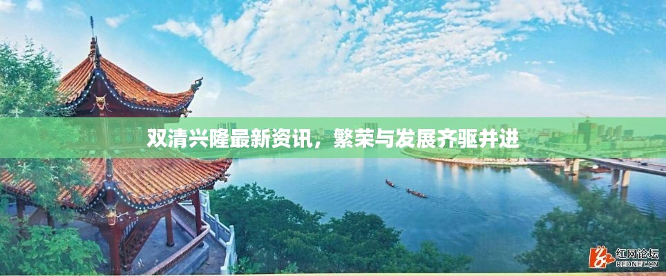 双清兴隆最新资讯，繁荣与发展齐驱并进
