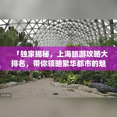 「独家揭秘，上海旅游攻略大排名，带你领略繁华都市的魅力胜地！」