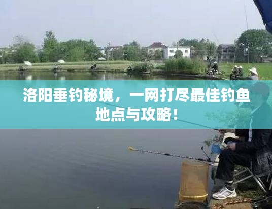洛阳垂钓秘境，一网打尽最佳钓鱼地点与攻略！