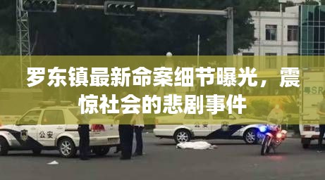 罗东镇最新命案细节曝光，震惊社会的悲剧事件