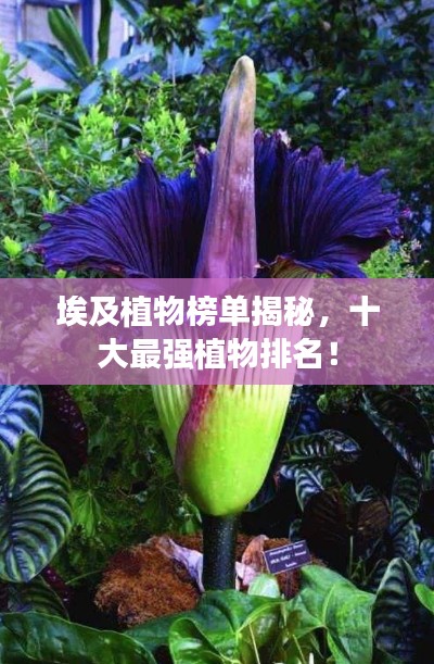 联系我们 第18页
