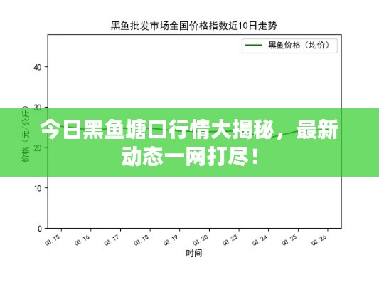 今日黑鱼塘口行情大揭秘，最新动态一网打尽！