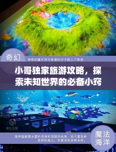 关于我们 第15页