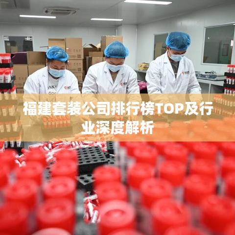 福建套装公司排行榜TOP及行业深度解析