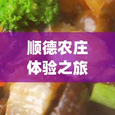 顺德农庄体验之旅，独家旅游攻略，带你畅游顺德胜地！