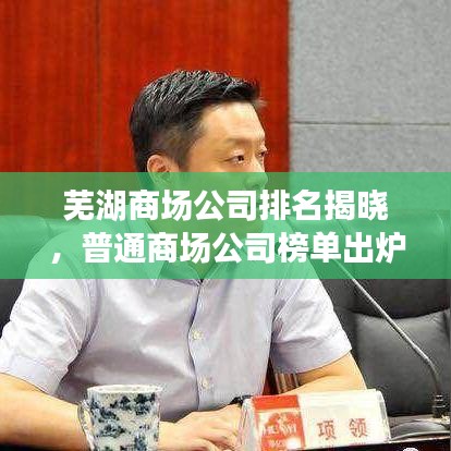 芜湖商场公司排名揭晓，普通商场公司榜单出炉！