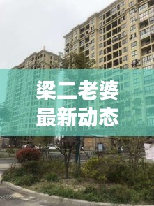 梁二老婆最新动态揭秘，独家内幕消息曝光！