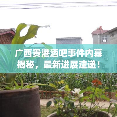 广西贵港酒吧事件内幕揭秘，最新进展速递！