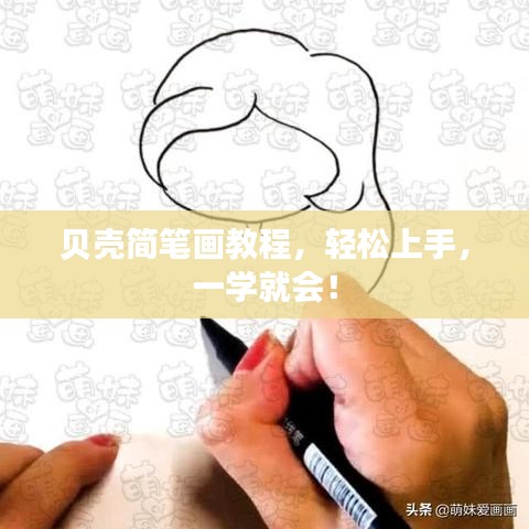 贝壳简笔画教程，轻松上手，一学就会！