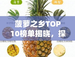 菠萝之乡TOP10榜单揭晓，探寻最诱人的菠萝产地！