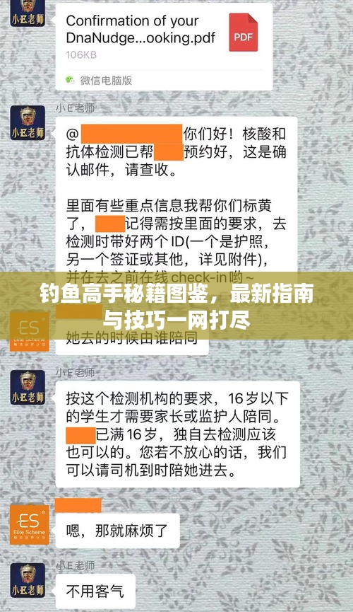 钓鱼高手秘籍图鉴，最新指南与技巧一网打尽