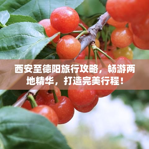 西安至德阳旅行攻略，畅游两地精华，打造完美行程！
