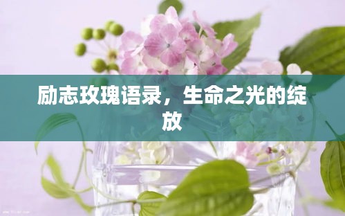 励志玫瑰语录，生命之光的绽放