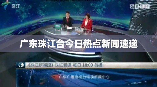 广东珠江台今日热点新闻速递