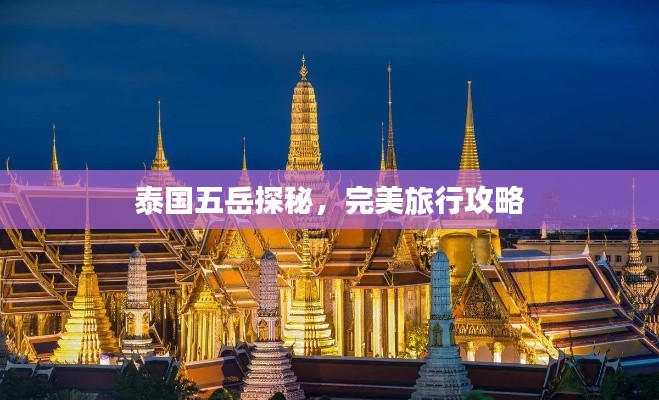 案例见证 第13页