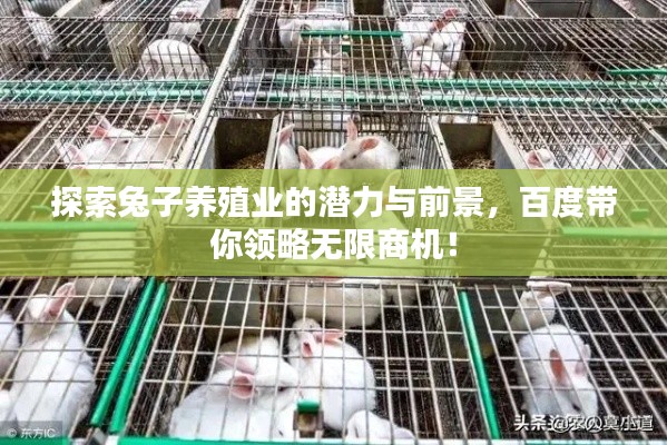 网店开店宝APP 第14页